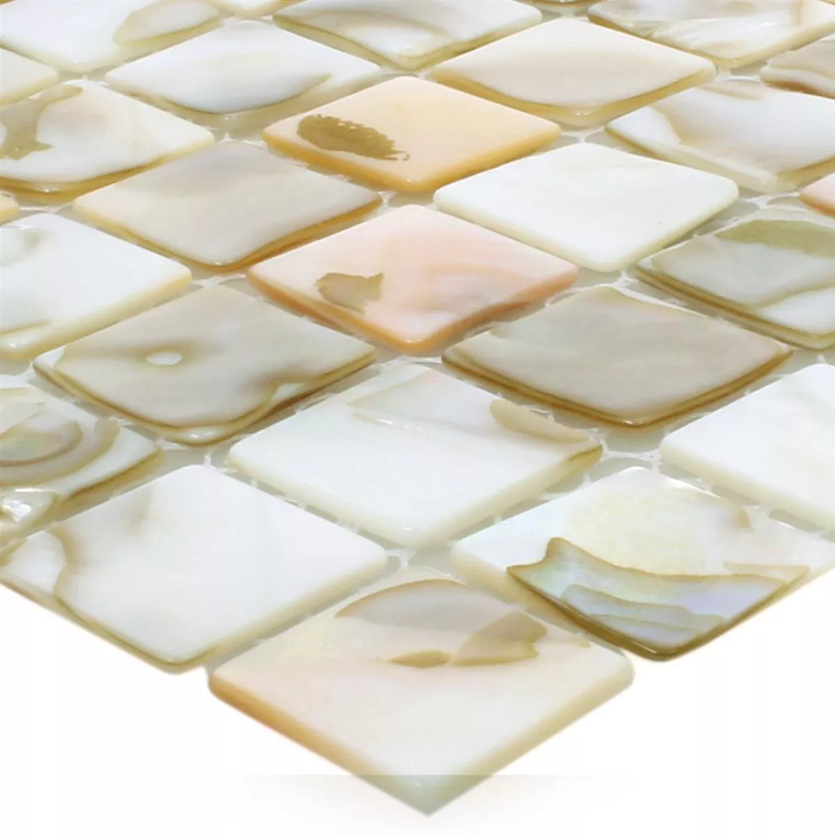 Azulejos De Mosaico Concha Kordon Beige Claro