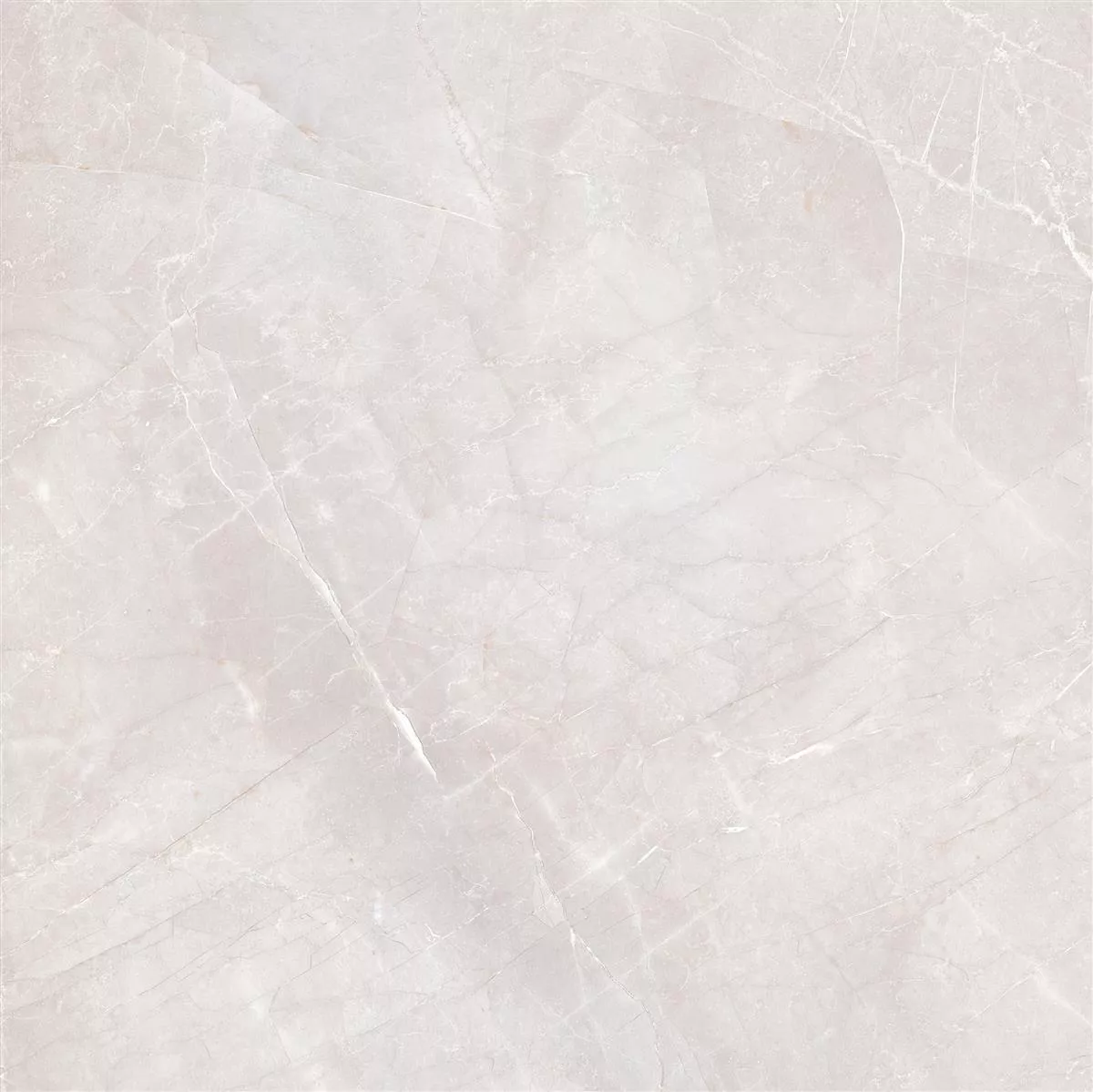Floor Tiles XXL Lowland Polished Light Grey 80x80cm