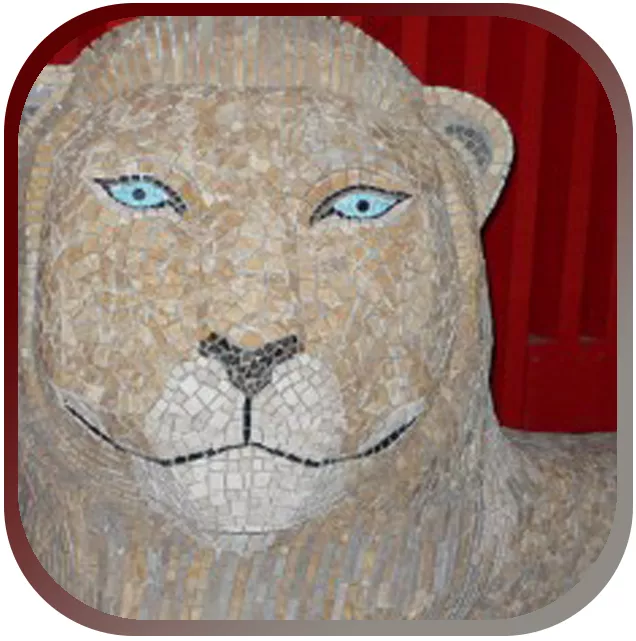 Customers and ambience images