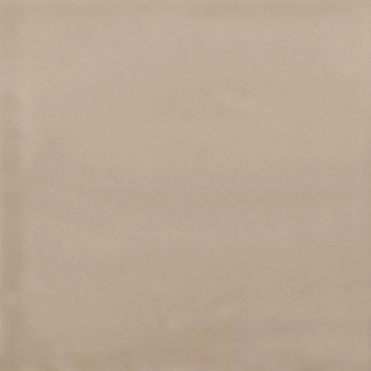 Porcelain Stoneware Tiles Ornamenti Basic Tile Creme