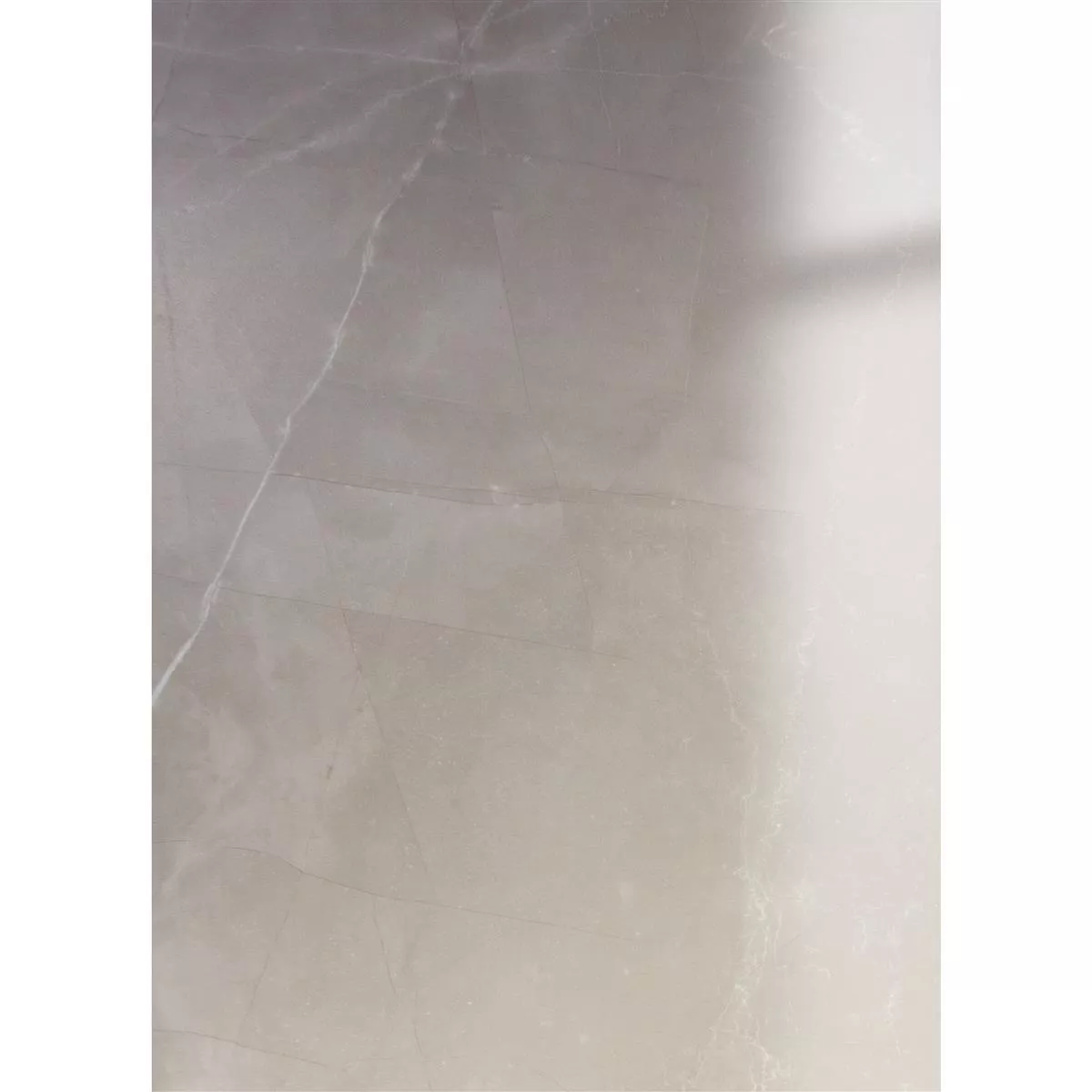 Floor Tiles Manarola Marble Optic Glossy Polished Grey 60x120cm