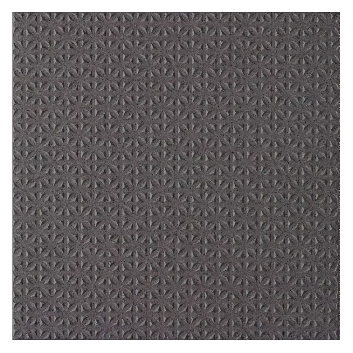 Floor Tiles Courage Fine Grain R12/V4/C Anthracite 20x20cm
