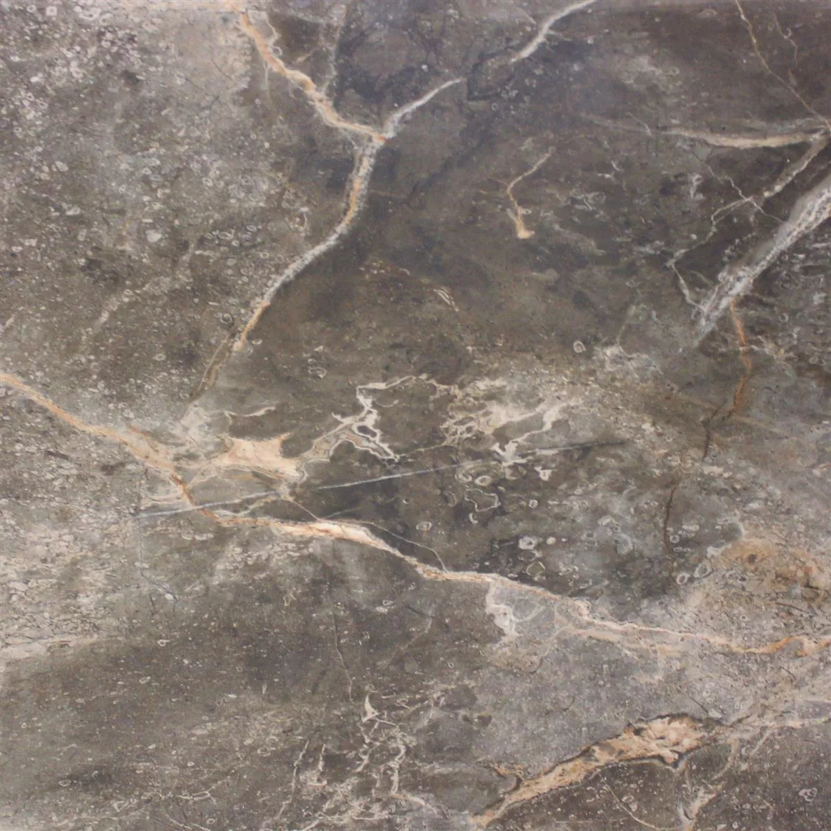 Floor Tiles Marble Optic Himalaya Brown Polished 60x60cm
