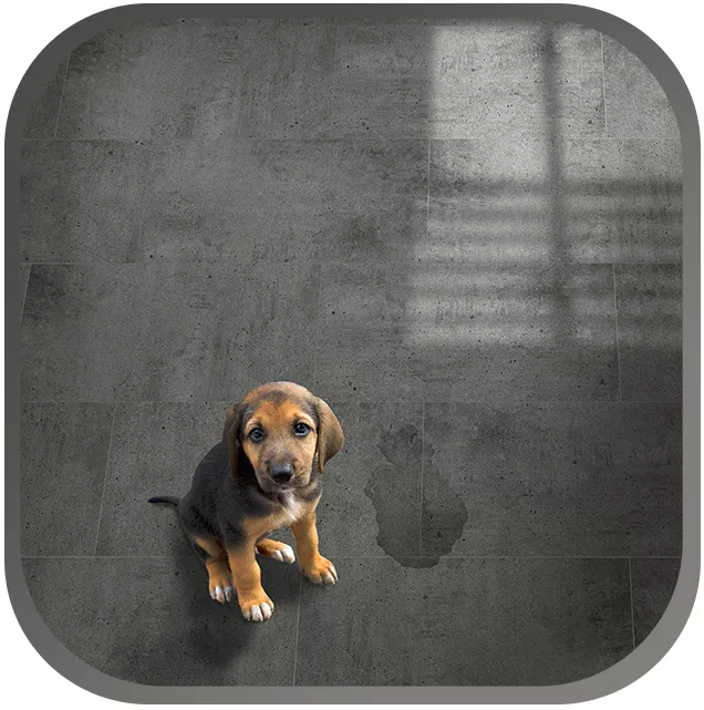 Unglazed Floor Tiles