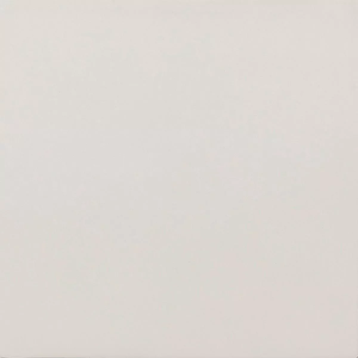 Porcelain Stoneware Tiles Ornamenti Basic Tile Blanc
