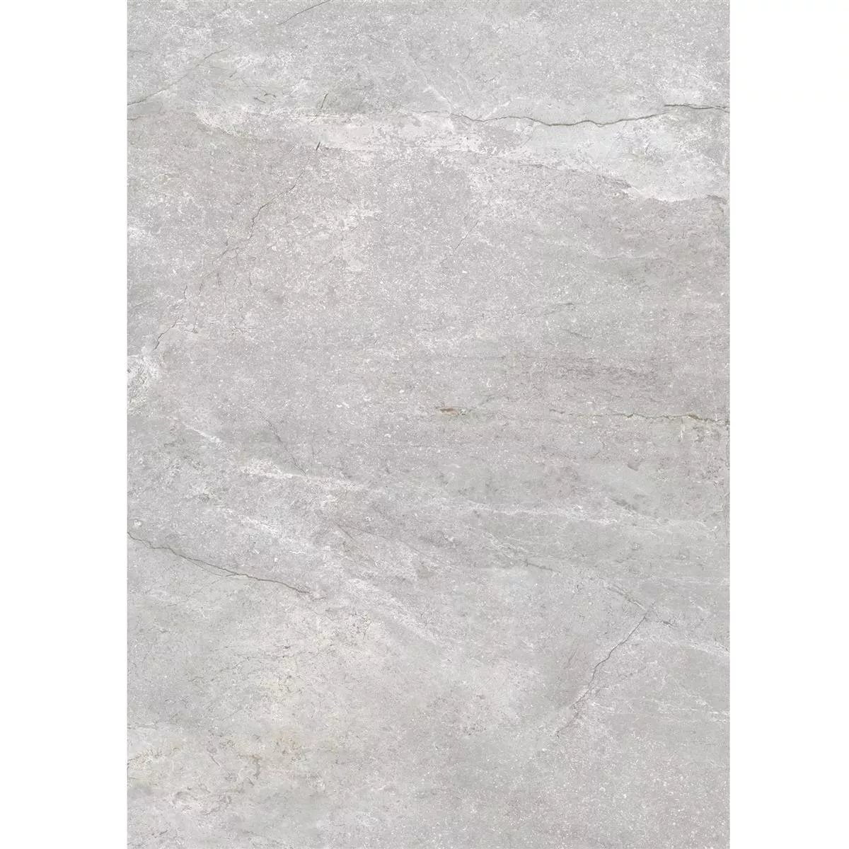 Floor Tiles Pangea Marble Optic Mat Silver 60x120cm