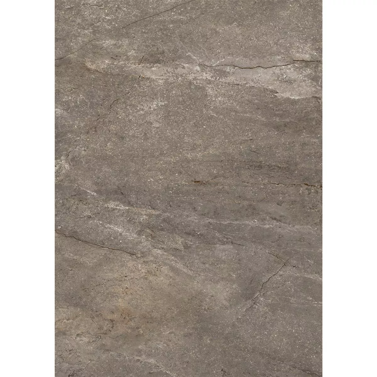 Floor Tiles Pangea Marble Optic Polished Mokka 60x120cm