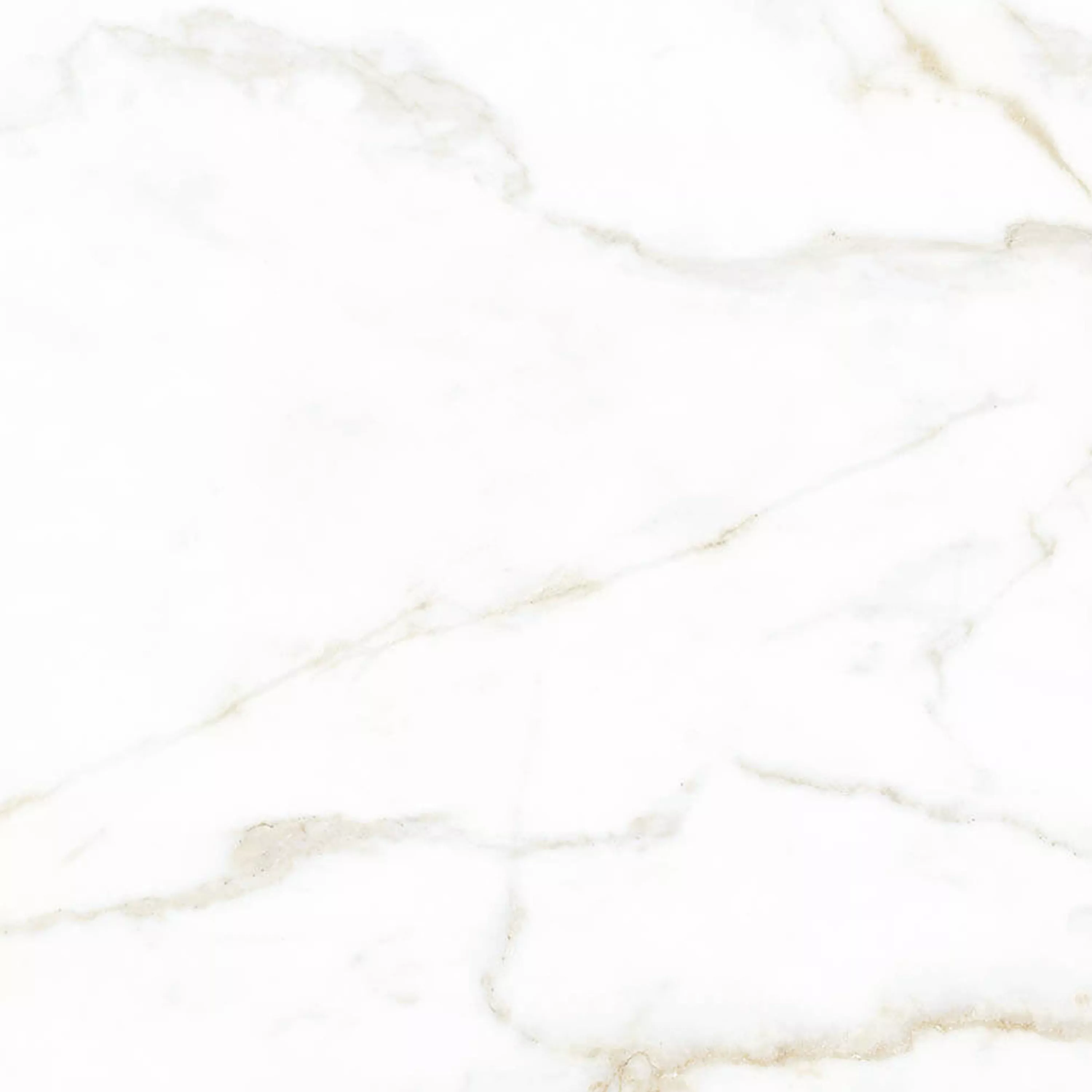 Floor Tiles Arcadia Marble Optic Mat Gold 60x60cm