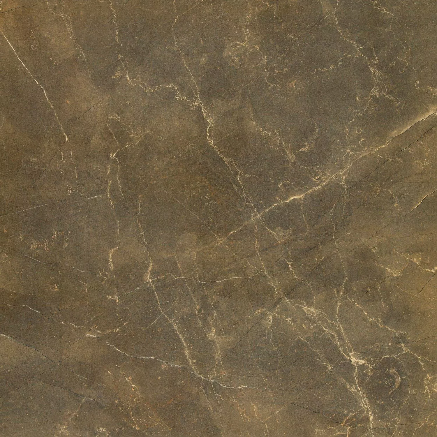 Floor Tiles Marble Optic Imperial Khaki 80x80cm
