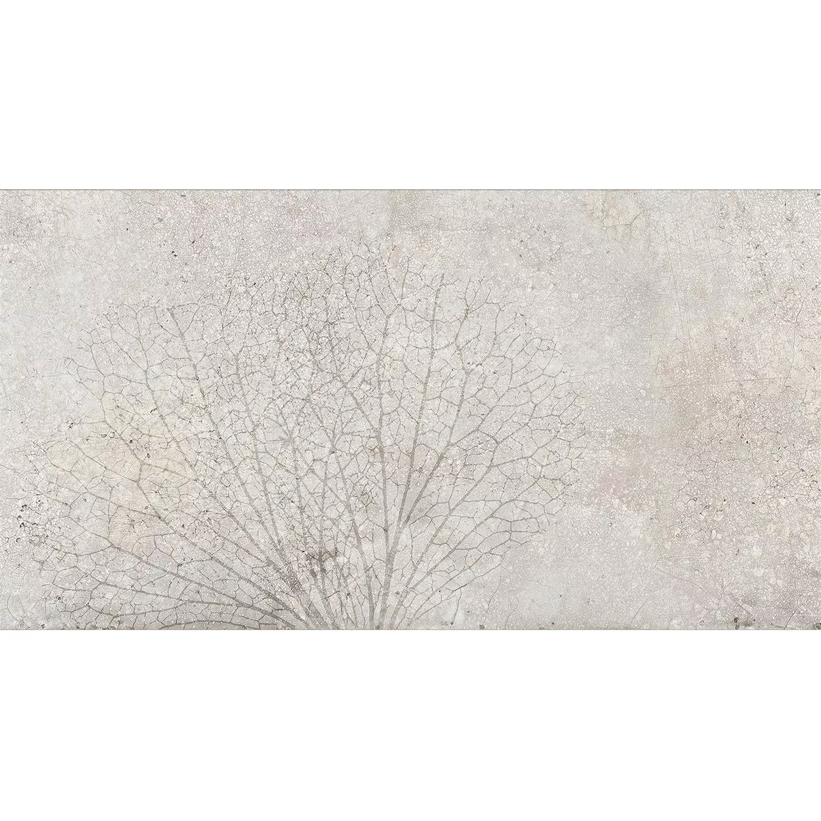 Wall Tiles Attila Grey Rectified Decor 1 30x60cm