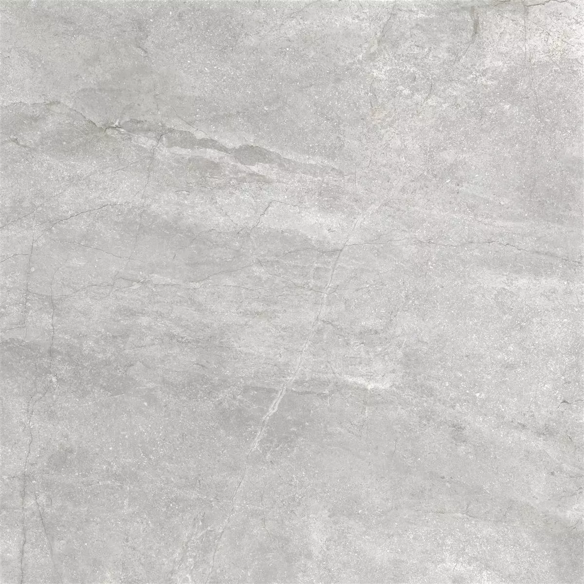 Floor Tiles Pangea Marble Optic Mat Silver 120x120cm