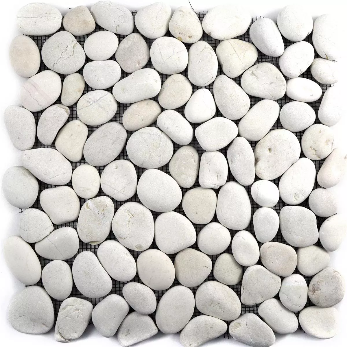 Mosaic Tiles River Pebbles Natural Stone Doha White